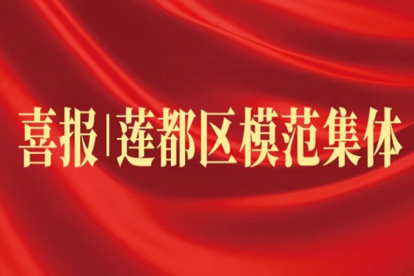 喜報丨浙江中立建設榮獲蓮都區“模范集體”稱號！